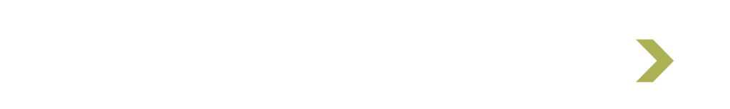 DeWebWevers logo